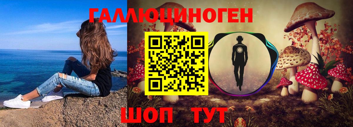 Галлюциногенные грибы прущие грибы  Псилоцибиновые грибы мицелий  Вход с VPN  Грозный 